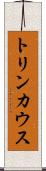 トリンカウス Scroll