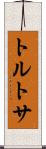 トルトサ Scroll