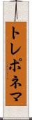 トレポネマ Scroll