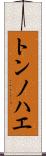 トンノハエ Scroll