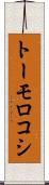 トーモロコシ Scroll