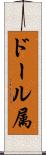 ドール属 Scroll