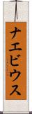 ナエビウス Scroll