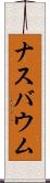 ナスバウム Scroll
