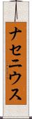 ナセニウス Scroll