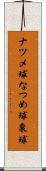 ナツメ球 Scroll