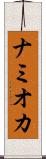 ナミオカ Scroll