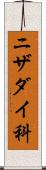 ニザダイ科 Scroll