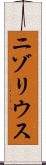 ニゾリウス Scroll