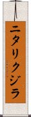 ニタリクジラ Scroll