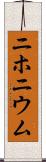 ニホニウム Scroll