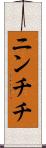 ニンチチ Scroll