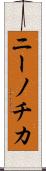 ニーノチカ Scroll