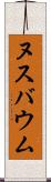 ヌスバウム Scroll