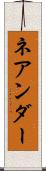ネアンダー Scroll