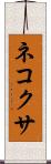 ネコクサ Scroll