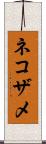ネコザメ Scroll