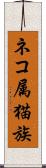 ネコ属 Scroll