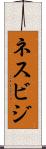 ネスビジ Scroll
