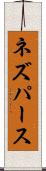 ネズパース Scroll