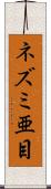 ネズミ亜目 Scroll