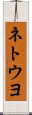 ネトウヨ Scroll
