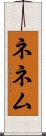 ネネム Scroll