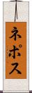 ネポス Scroll
