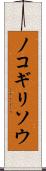 ノコギリソウ Scroll