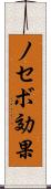 ノセボ効果 Scroll