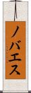 ノバエス Scroll