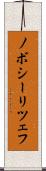 ノボシーリツェフ Scroll