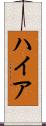 ハイア Scroll