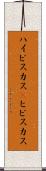 ハイビスカス(P) Scroll