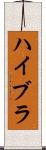 ハイブラ Scroll