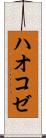 ハオコゼ Scroll