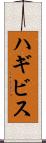 ハギビス Scroll