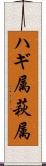 ハギ属 Scroll