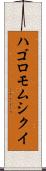 ハゴロモムシクイ Scroll