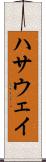 ハサウェイ Scroll
