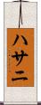 ハサニ Scroll
