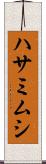 ハサミムシ Scroll