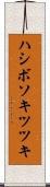 ハシボソキツツキ Scroll