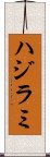 ハジラミ Scroll
