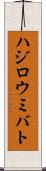 ハジロウミバト Scroll