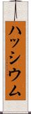 ハッシウム Scroll