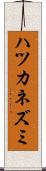 ハツカネズミ Scroll