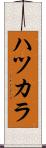 ハツカラ Scroll
