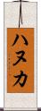 ハヌカ Scroll
