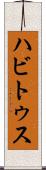 ハビトゥス Scroll